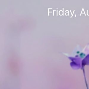 Meet your Posher, Alyssa